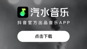 汽水音乐电脑版如何切换账号？多账号管理与登录问题全解析？